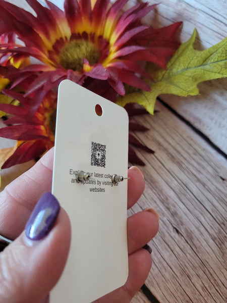Game Day Gridiron Country Craft Barn Earrings (E-088)