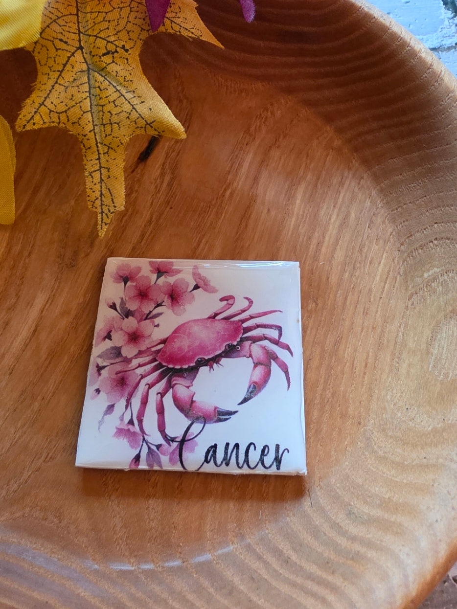 Signs of the Zodiac - Country Craft Barn Magnets