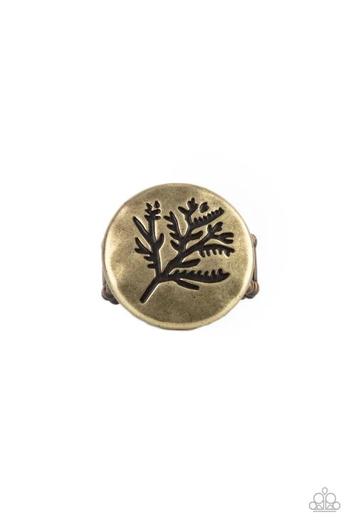 Branched Out Beauty - Brass Paparazzi Ring (T117)