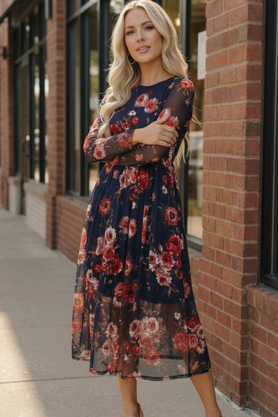 Rosy Romance Mesh Dress