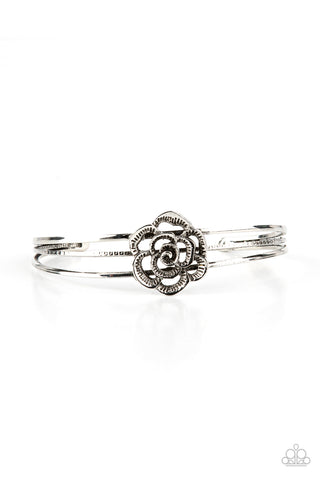 Rosy Repose - Silver Paprazzi Bracelet (#479)