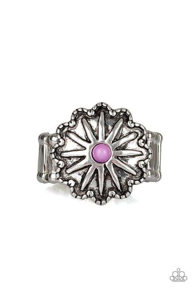 Stone Sensei - Purple Paparazzi Ring