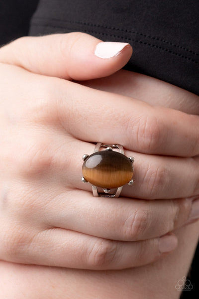 Enchantingly Everglades - Brown Paparazzi Ring (P19)