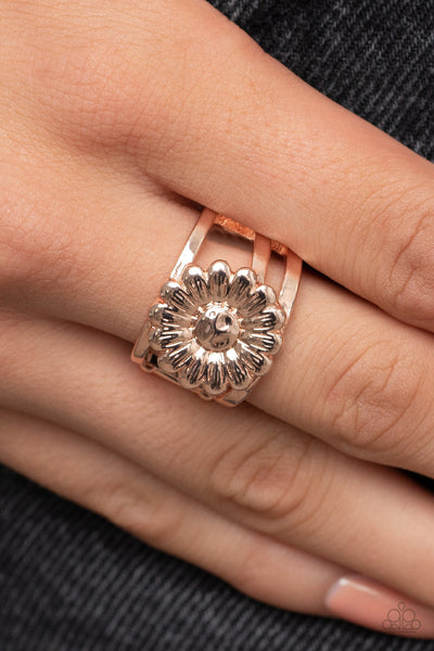 Roadside Daisies - Rose Gold Paparazzi Ring (R335)