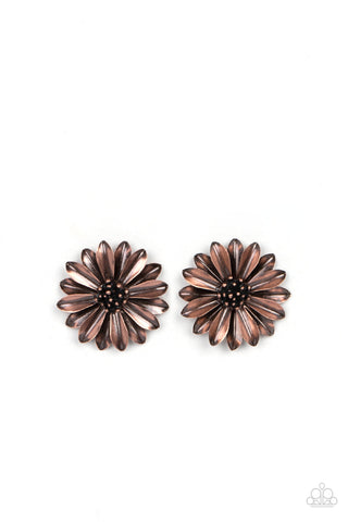 Daisy Dilemma - Copper Paparazzi Earring (#4905)