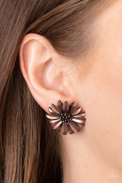 Daisy Dilemma - Copper Paparazzi Earring (#4905)